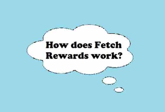 How does Fetch Rewards work
